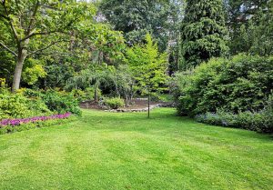 Optimiser l'expérience du jardin à Fresne-l'Archevêque